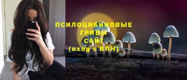 ECSTASY Верея