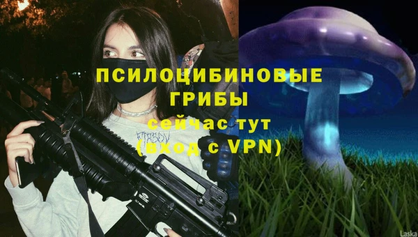 ECSTASY Верея