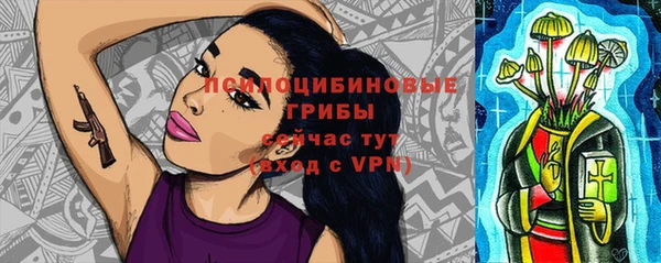 ECSTASY Верея