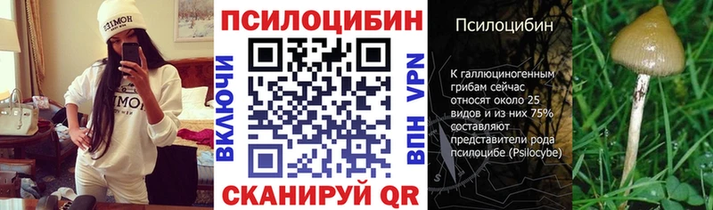 Псилоцибиновые грибы Psilocybine cubensis  Купить закладки  Карабаново 