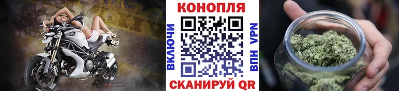 Бошки Шишки Amnesia  Купить где  Карабаново 